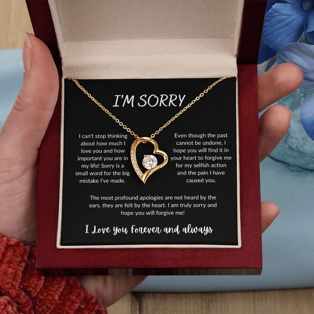 I'm Sorry - Forever Love Necklace - B