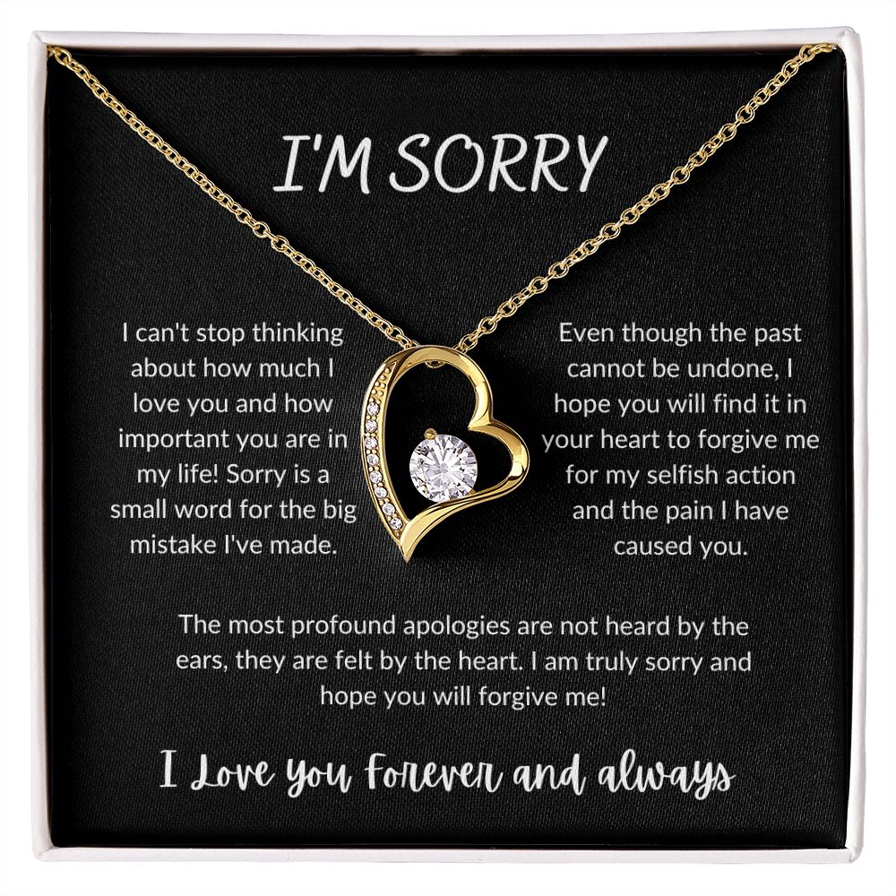 I'm Sorry - Forever Love Necklace - B