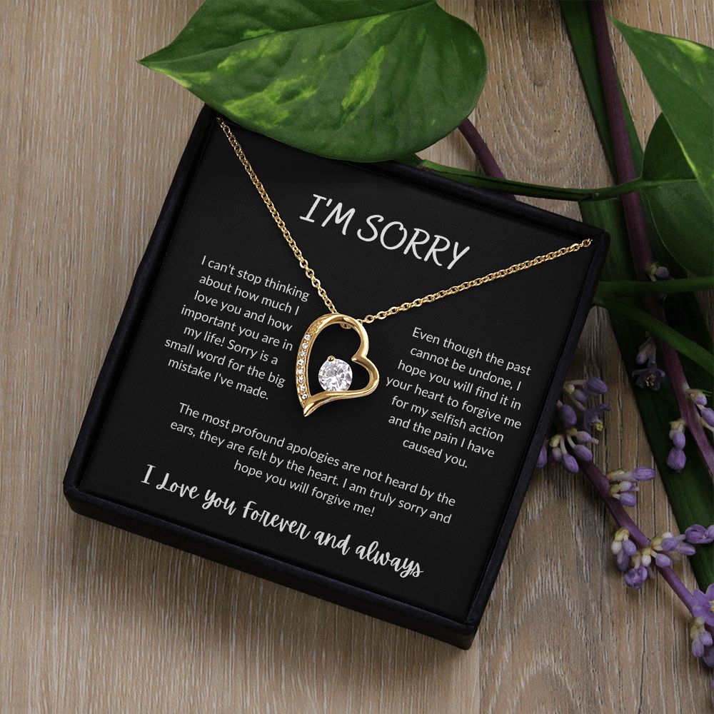 I'm Sorry - Forever Love Necklace - B