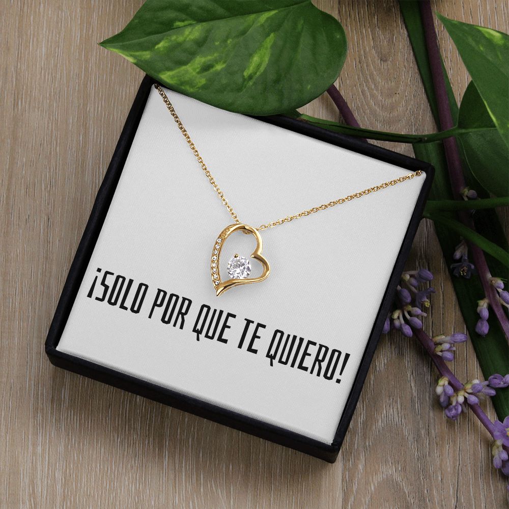 Solo Por Que Te Quiero - Forever Love Necklace - Español