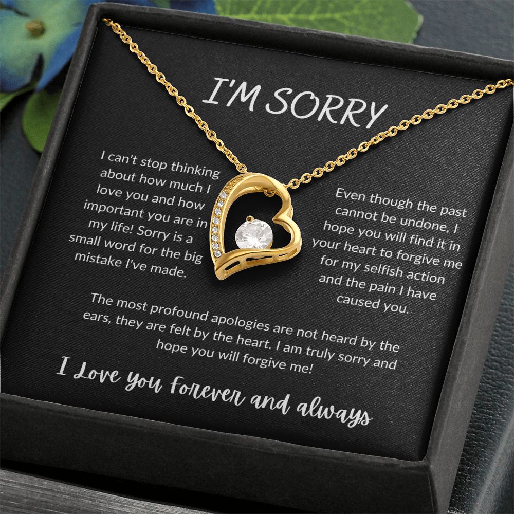 I'm Sorry - Forever Love Necklace - B