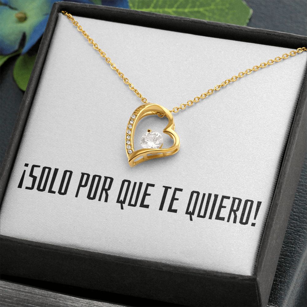 Solo Por Que Te Quiero - Forever Love Necklace - Español